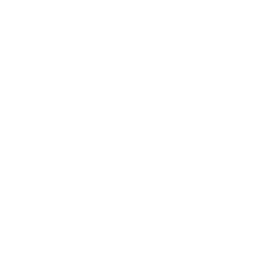 castle connolly top doctors logo